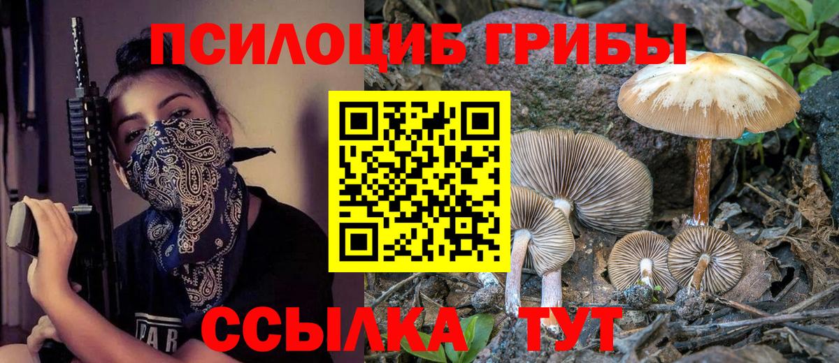 Галлюциногенные грибы прущие грибы  Вход с VPN  Таганрог 