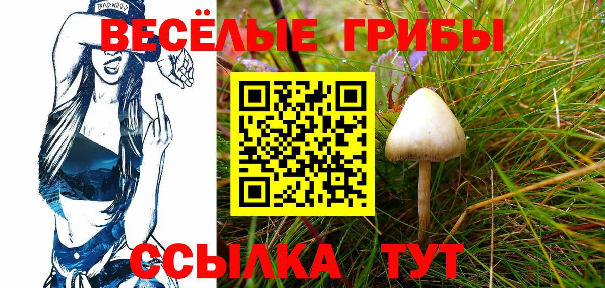 Псилоцибиновые грибы Magic Shrooms Таганрог